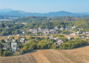 清城乡贤英烈村：飞来峡镇禾仓行政村——禾仓岗村