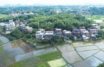 清城乡贤英烈村：横荷街道横荷行政村——红星村
