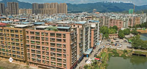 清城乡贤英烈村：东城街道莲塘行政村——沙寮村