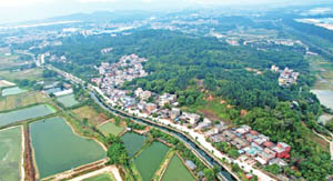 清城特色产业村：源潭镇大连行政村——大怖村