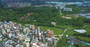清城特色产业村：国营银盏林场银坑工区——小塘村