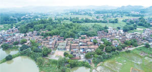 清城特色产业村：龙塘镇办冲行政村——月形岗村