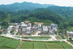 清城特色产业村：飞来峡镇石颈行政村——上黄塘村