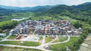 清城特色产业村：飞来峡镇社岗行政村——社四村
