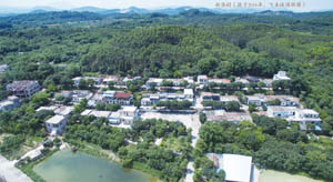 清城特色产业村：飞来峡镇清华社区——新华村