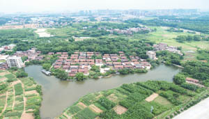 清城特色产业村：横荷街道横荷行政村——格岭村