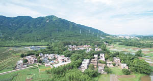 清城美丽乡村：源潭镇新马行政村——凤尾村