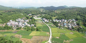 清城美丽乡村：源潭镇洞尾行政村——大窝村