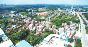 清城美丽乡村：横荷街道横荷行政村——大岭村