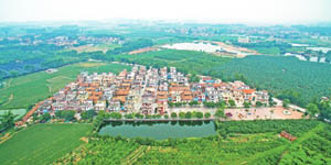 清城美丽乡村：石角镇兴仁行政村——兴仁一队