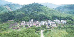 清城红色乡村：飞来峡镇西坑行政村——谢屋村