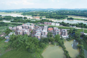 清城红色乡村：横荷街道车头行政村——明眼塘村