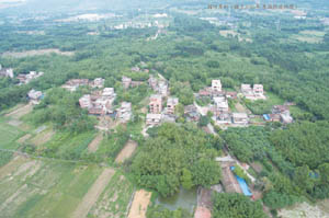清城红色乡村：东城街道黄金怖行政村——园仔角村