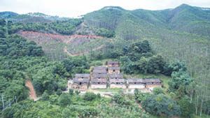 清城红色乡村：飞来峡镇文洞行政村——毛叶坪村