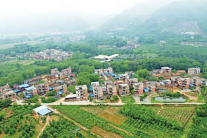 清城红色乡村：东城街道新星行政村——马颈村