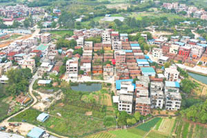 清城红色乡村：东城街道石板行政村——石板五村