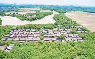 清城传统村落：飞来峡镇银地行政村——定家沙村