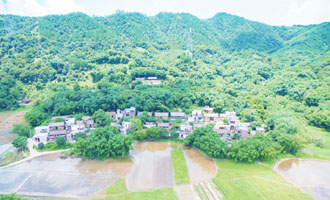 清城传统村落：飞来峡镇银地行政村——江口汛村