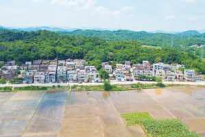 清城传统村落：飞来峡镇龙埗社区——上龙村