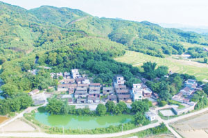 清城传统村落：飞来峡镇独树行政村——沙迳村