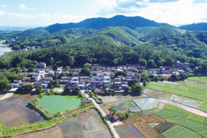 清城传统村落：源潭镇踵头行政村——踵头塱村