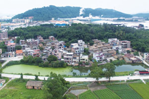 清城传统村落：源潭镇青龙行政村——青龙岗村