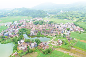 清城传统村落：源潭镇金星行政村——果园村