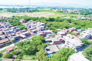 清城传统村落：横荷街道赤岗行政村——格离村