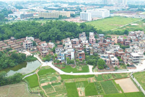 清城传统村落：横荷街道百加行政村——尖锋村