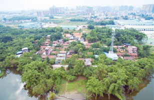 清城传统村落：横荷街道百加行政村——百嘉大围