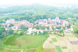 清城传统村落：龙塘镇云路行政村——大汪村
