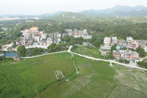 清城传统村落：龙塘镇银盏行政村——高桥村