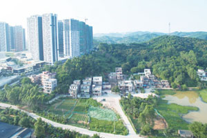 清城传统村落：龙塘镇陂坑行政村——河背村