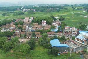 清城传统村落：龙塘镇办冲行政村——田螺岗村