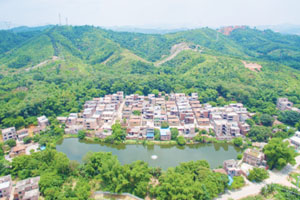 清城传统村落：龙塘镇安丰行政村——安丰村
