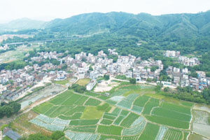 清城传统村落：龙塘镇安丰行政村——水湖塱村