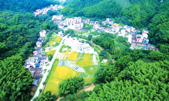 佛冈：洛洞村——红色旅游忆往昔